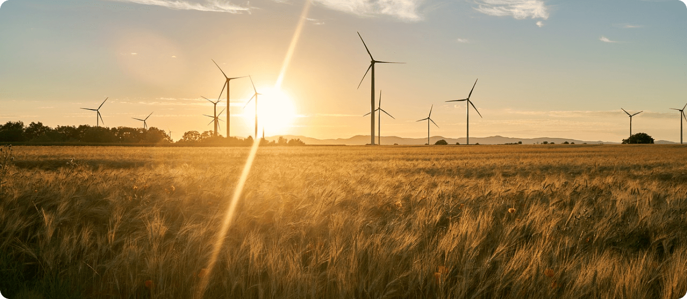 Solar fields with wind turbines